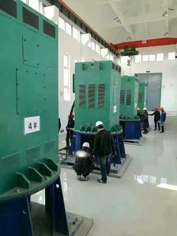 江北某污水处理厂使用我厂的立式高压电机安装现场