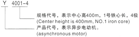 西安泰富西玛Y系列(H355-1000)高压江北三相异步电机型号说明